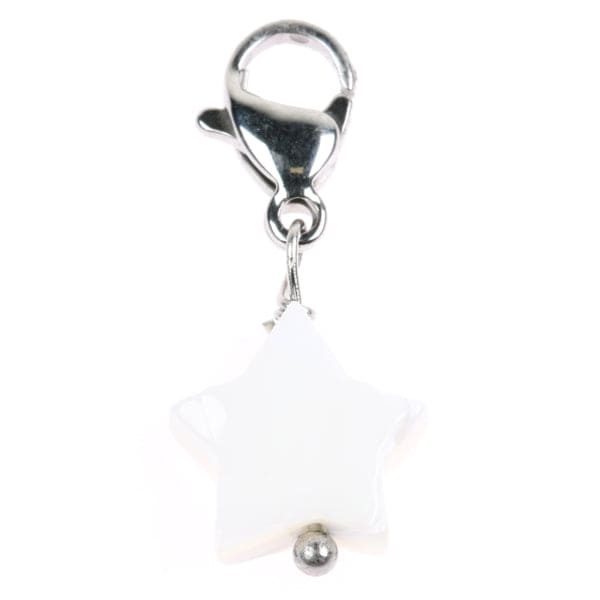 Hanger 8099420