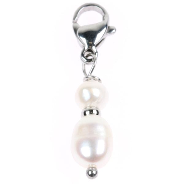 Hanger 8099440