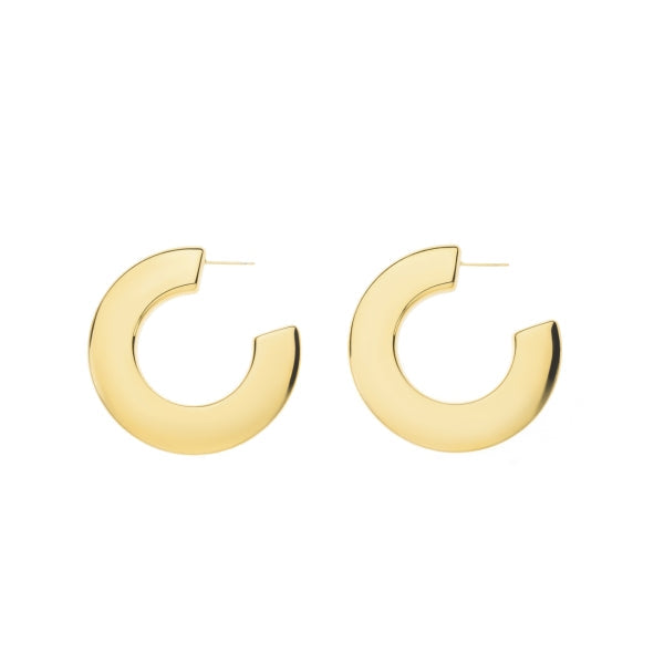 oorbel 8118570