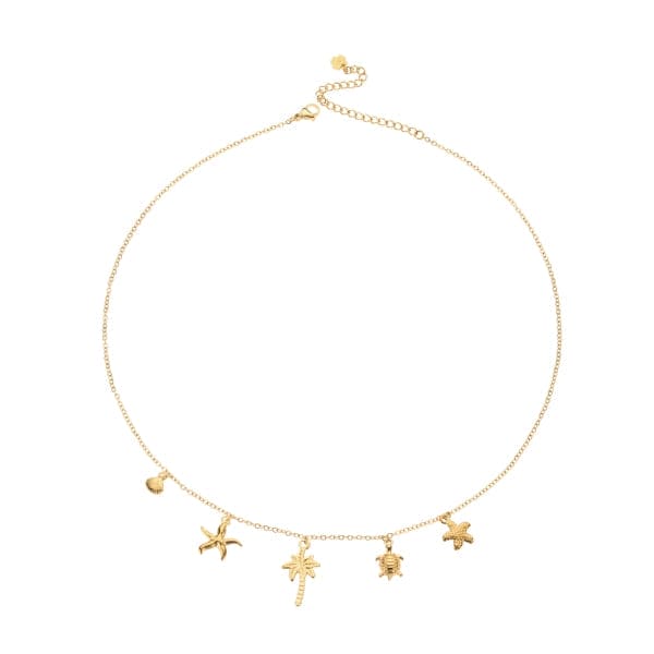 ketting 8119550