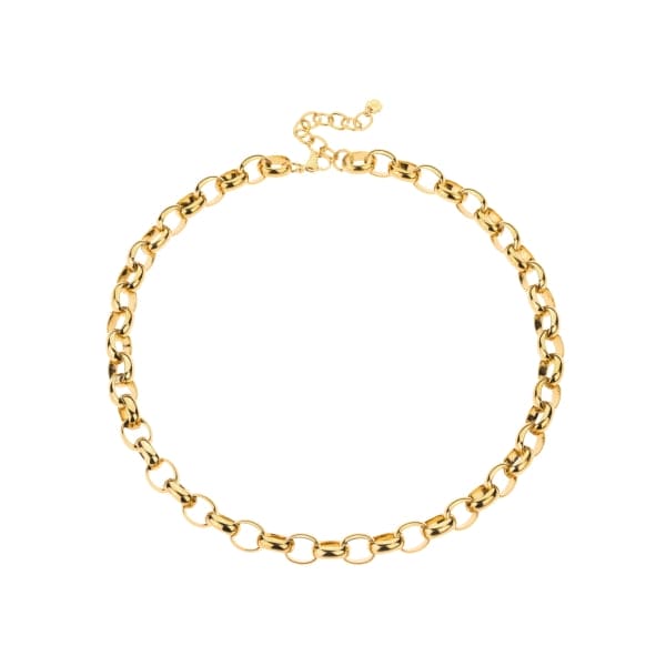 chain 8119570