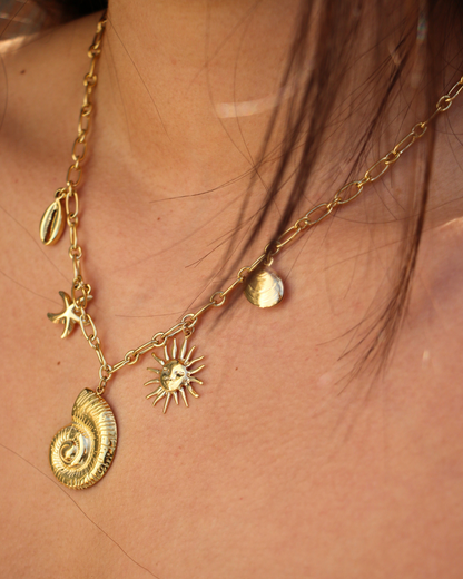 Ketting 8113880