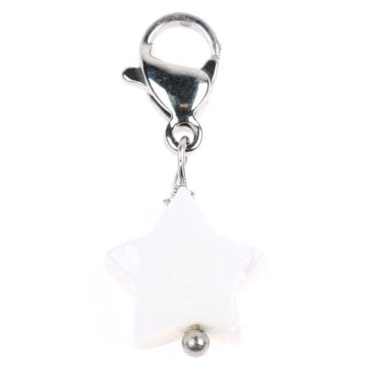 Hanger 8099420
