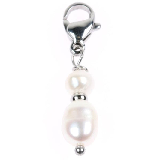 Hanger 8099440