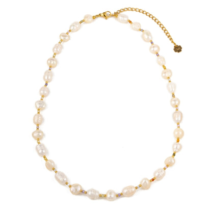 Ketting 8113410