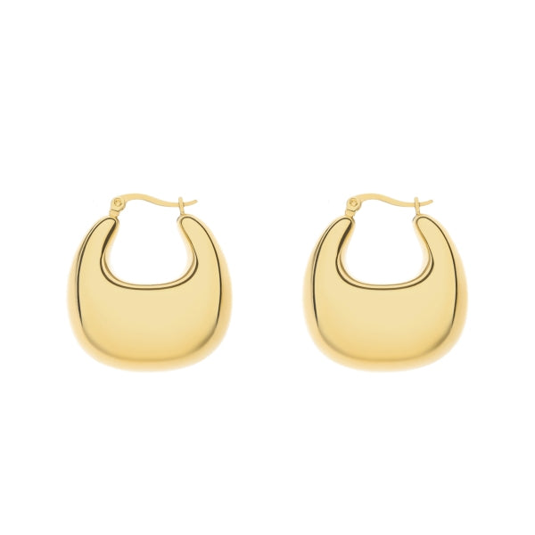 oorbel 8118560