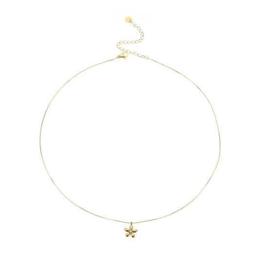 ketting 8118820