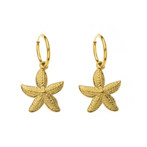 oorbel 8119480